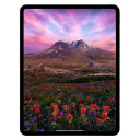 iPad Pro 2024 13 Wi-Fi 256Гб Серебристый