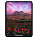 iPad Pro 2024 11 Wi-Fi 256Гб Серебристый