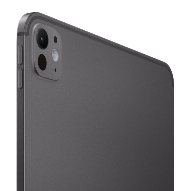 iPad Pro 2024 11 Wi-Fi + Cellular 1Тб Черный космос