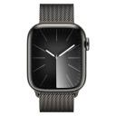 Apple Watch Series 9 / 45 мм / корпус из нержавеющей стали / браслет миланская петля цвета графит 