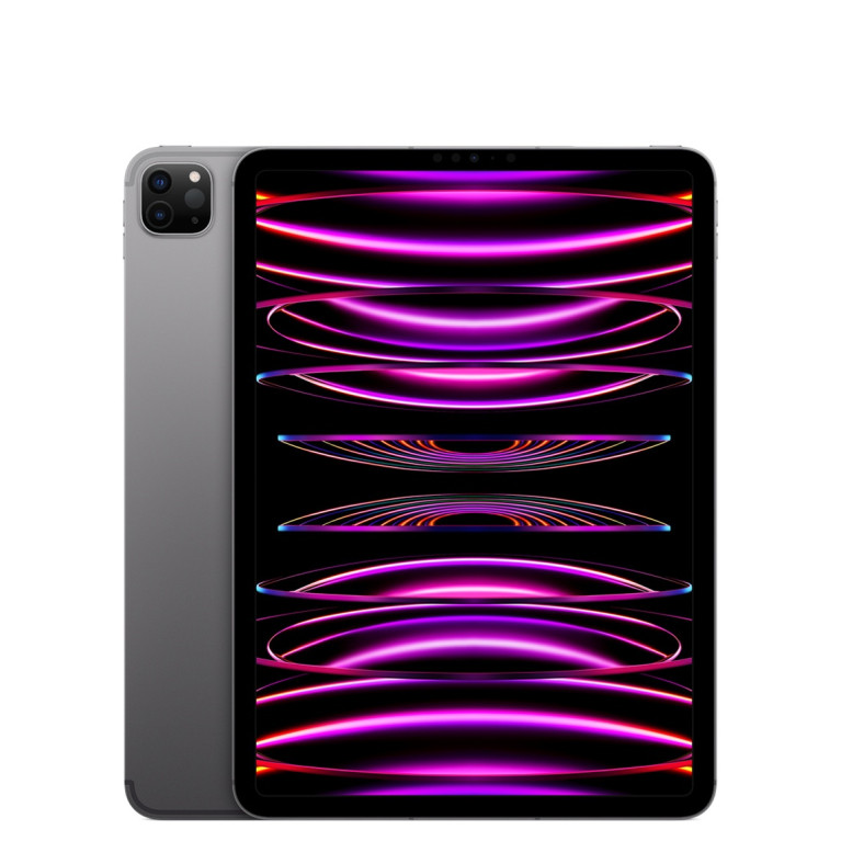 iPad Pro 2022 11 Wi-Fi + cellular 256Гб Серый космос